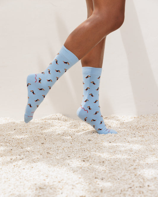 Toucan Socks